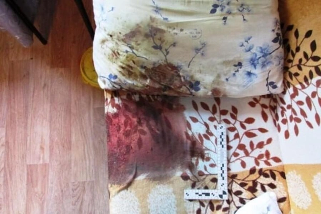 Мужчина ударил пенсионерку ножом | Источник: СУ СКР по Новосибирской области