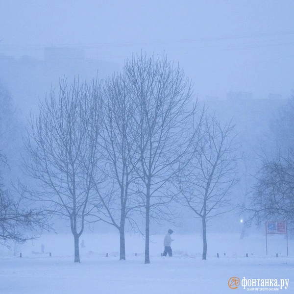 Источник: Сергей Николаев / FONTANKA.RU