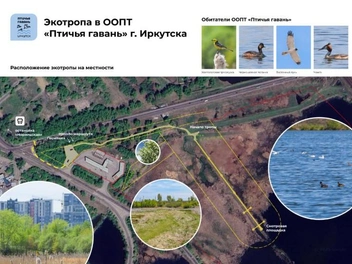 Экотропа «Птичья гавань» | Источник: gosuslugi.ru