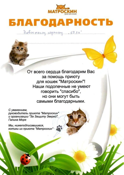 Источник: Редакция сайта