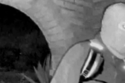 Агент ФБР: пропавшая Нэнси Гатри ранена, но жива