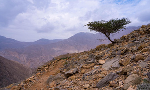 «Я сердце оставил в Хаджарских горах»: как ходят в походы на выживание в ОАЭ
