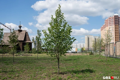 Сроки строительства парка в Левенцовке еще не определены