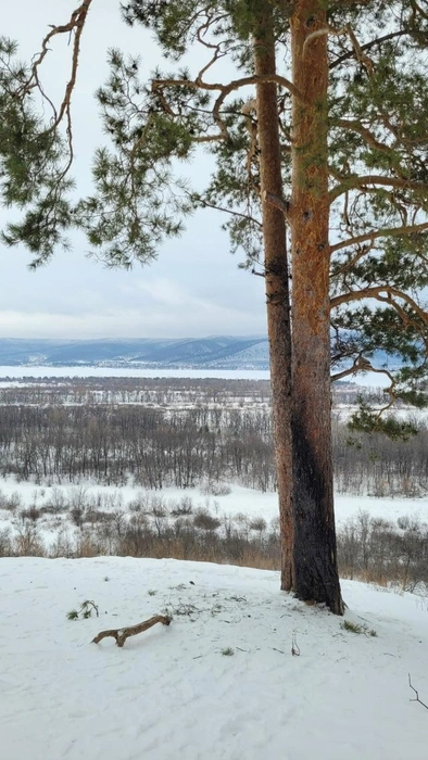 Грустная картина | Источник: Прибрежный / Vk.com