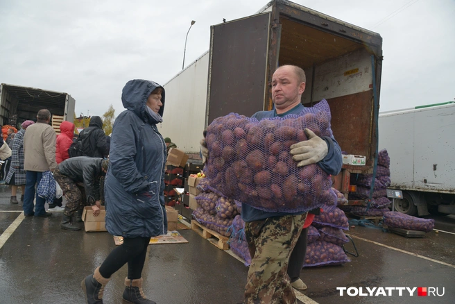 А вы берете картошку-моркошку мешками? | Источник: Иван Митюшёв / 29.RU