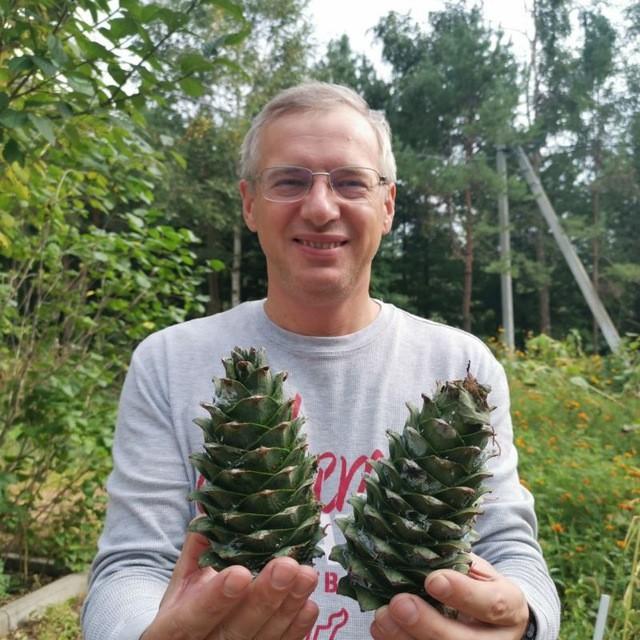 <p>Дмитрий Алексеев</p>