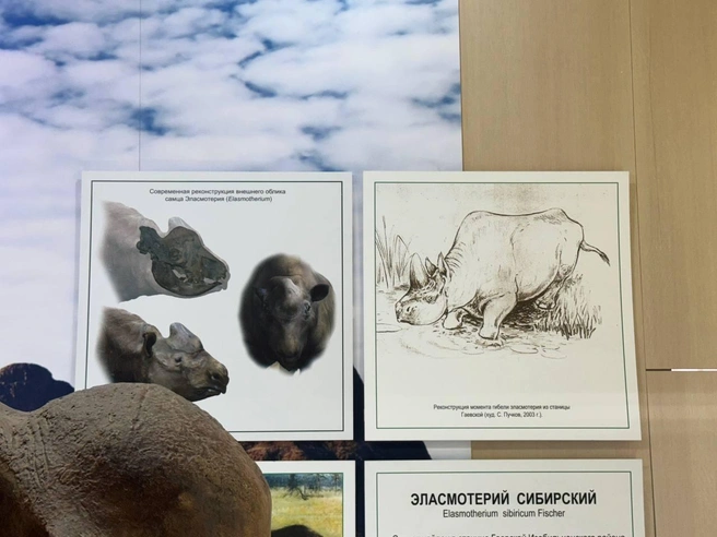 Облик и предполагаемый момент гибели | Источник: Дарья Гранкина / 26.RU