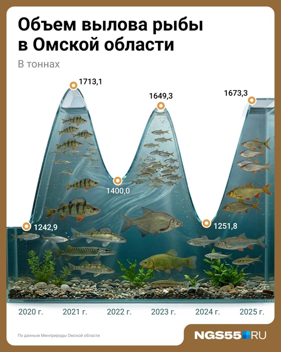 Объемы вылова рыбы по четным годам сокращаются | Источник: Евгения Бикунова / Городские медиа