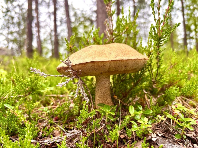 Источник: Наталья Богданова