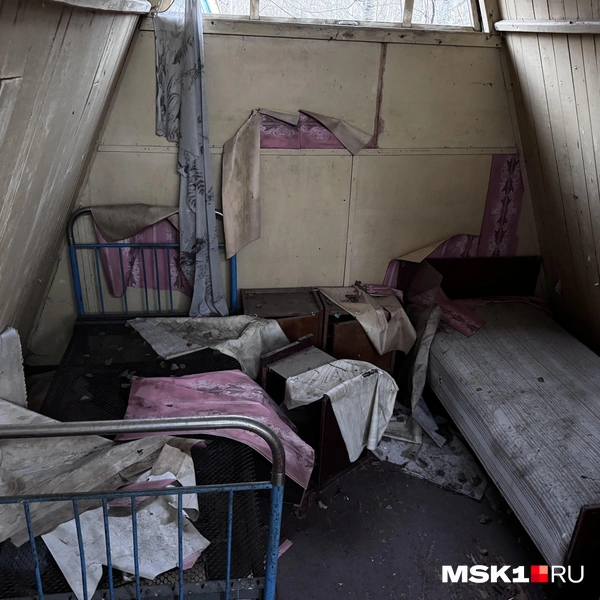 Источник: Алина Мельникова / MSK1.RU