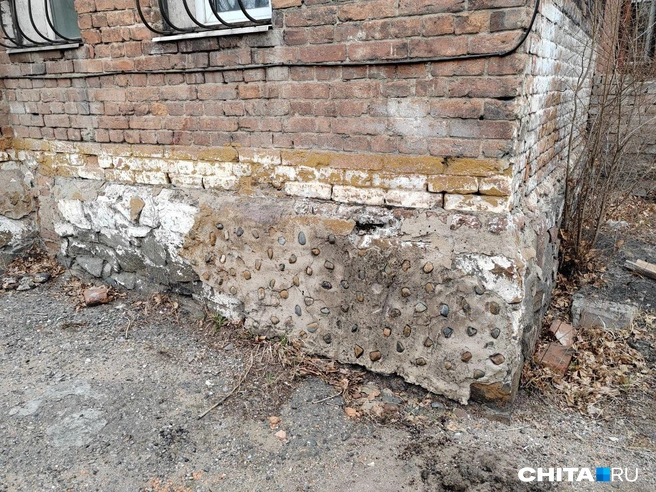 Источник: Дарья Кливенкова / CHITA.RU