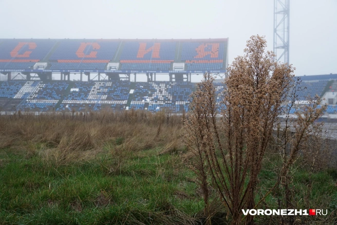 Источник: Дмитрий Волгин / Voronezh1.ru