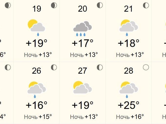 Ожидается, что воскресенье будет солнечным | Источник: world-weather.ru