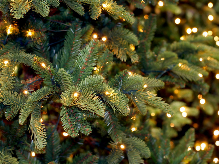 Нелепо и комично: 6 причин, почему ваша новогодняя елка выглядит так плохо