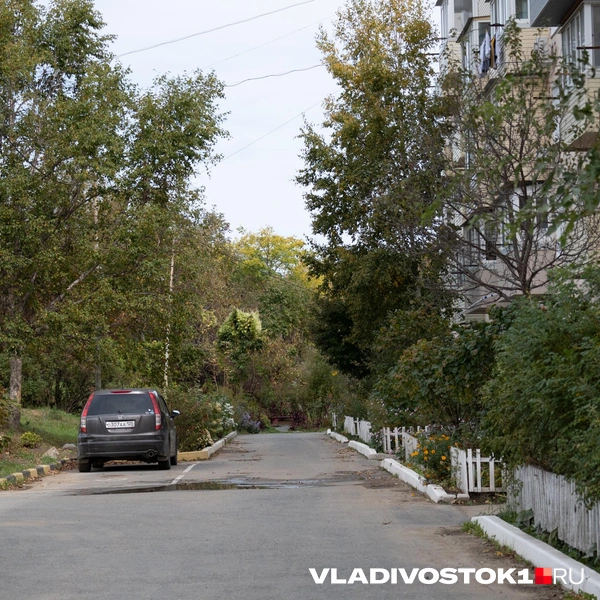 Источник: Елена Буйвол / VLADIVOSTOK1.RU