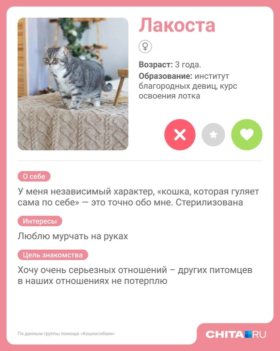 Источник: Юрий Скулыбердин / Городские медиа