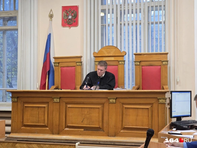 Терпеливый судья Александр Ермолаев | Источник: Семен Коротов-Майбах / 164.RU