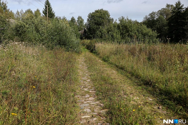 Дорога, которая ведет к деревне, но до нее еще предстоит добраться по песку и глине | Источник: Наталья Бурухина / NN.RU
