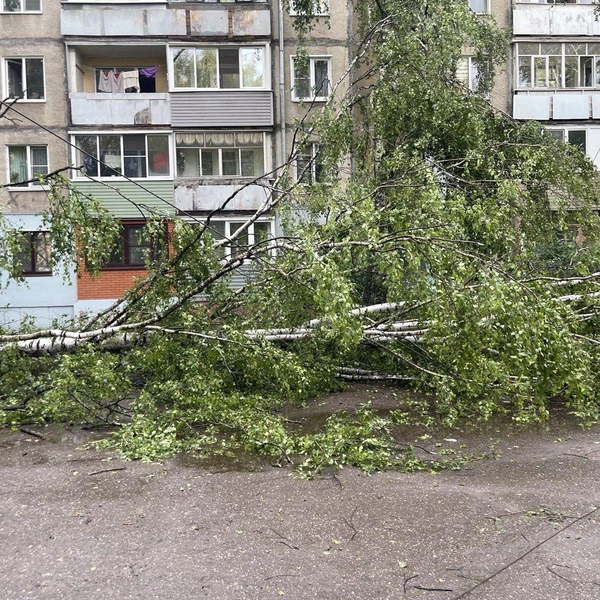 ЧП с ребенком случилось во дворе жилого дома | Источник: Прокуратура Ярославской области / T.me