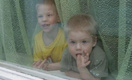 Дети выпадают из окон из-за москитной сетки