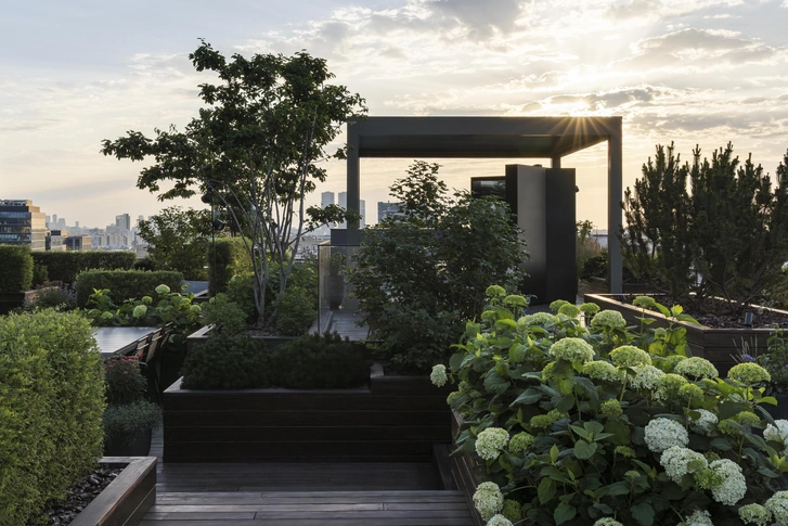 Источник: Брусника