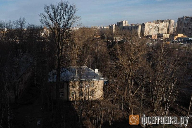 Источник: автор фото Михаил Огнев/«Фонтанка.ру»