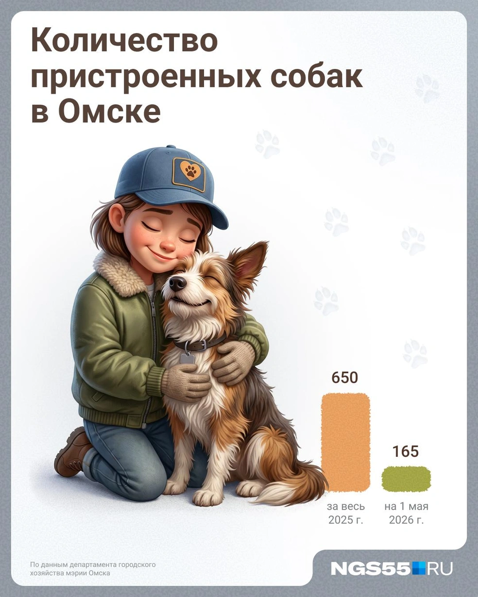В этом году больше 100 собак нашли дом  | Источник: Евгений Бикунова / Городские медиа 