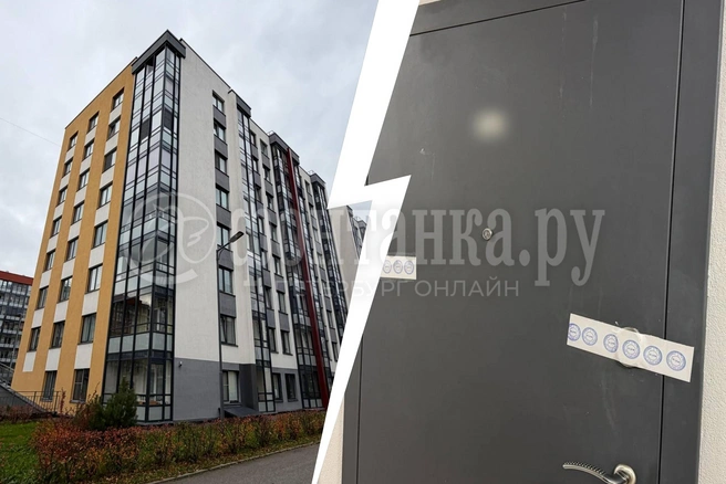 «Кварталы счастливых людей». Что происходит в доме, где жестоко убили ребенка и его бабушку | Источник: Анастасия Голубева / FONTANKA.RU