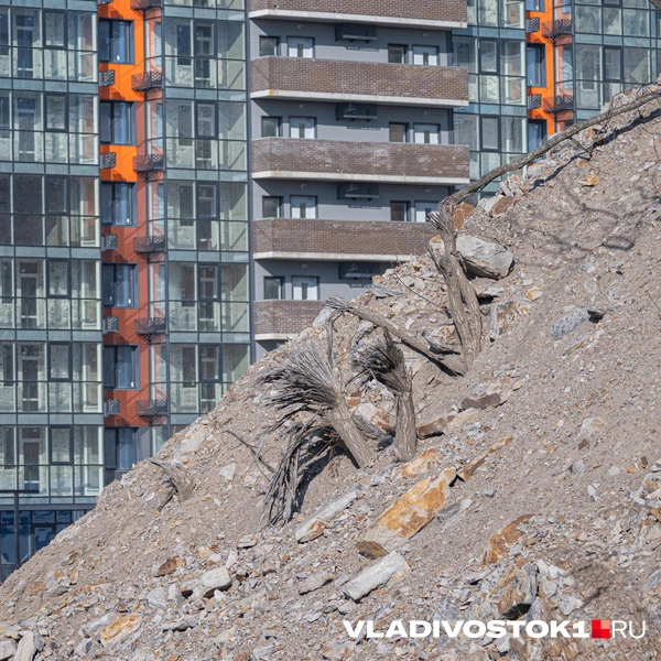 Источник: Елена Буйвол / VLADIVOSTOK1.RU