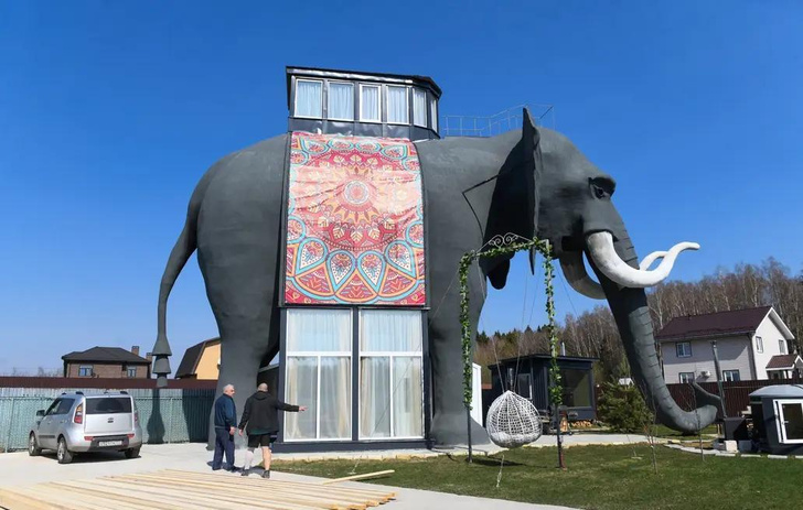 Дома-слоны: как выглядят самые необычные дома Подмосковья снаружи и внутри