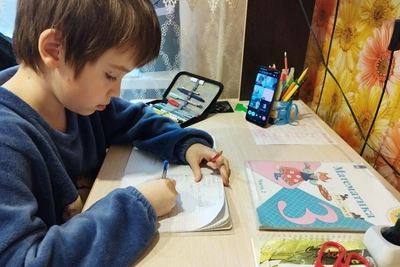 Из-за морозов десятки самарских школ перешли на дистант