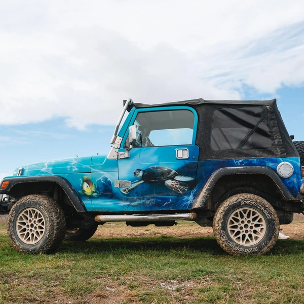 Длина пешего маршрута от центра Абрау-Дюрсо до скалистого берега&nbsp;— 8,5 километра. Сюда можно добраться и на внедорожнике | Источник: Андрей Белавин