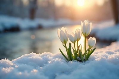 То, что случится с вами в конце февраля, перевернет вашу жизнь — пророчество от Кажетты Ахметжановой