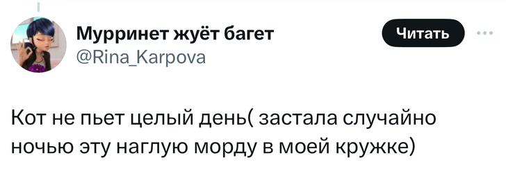 В «Твиттере» делятся тупыми причинами, по которым возили животных в ветеринарные клиники. И это уморительно!