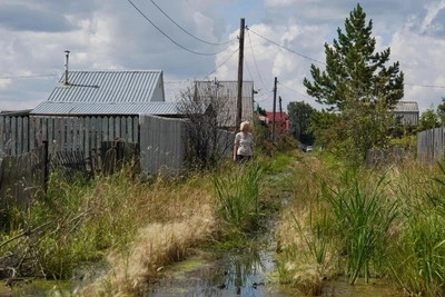 Приезжайте в Осташково в сапогах: омичи о шашлыках