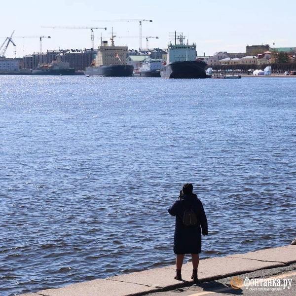 Источник: Валентин Егоршин / «Фонтанка.ру»