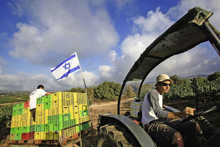 Счастье обетованное: как устроен быт в израильских кибуцах