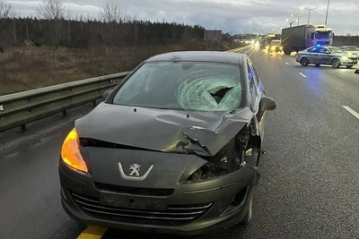 На трассе в Воронеже пешеход влетел в лобовое стекло: фото с ДТП