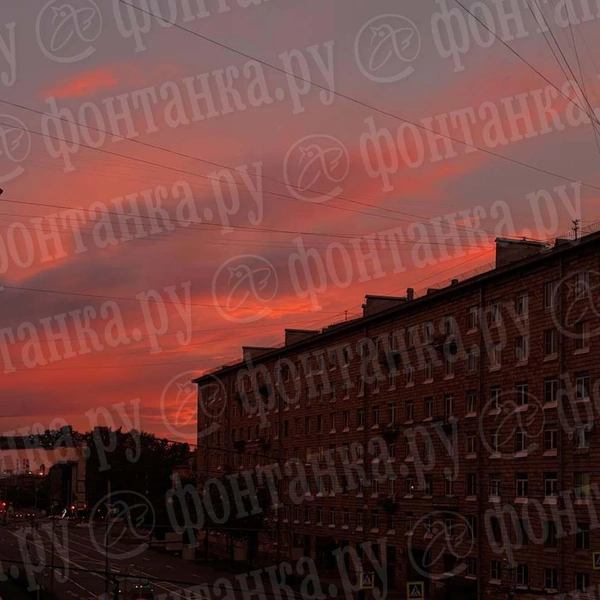 Источник: читатель «Фонтанки»