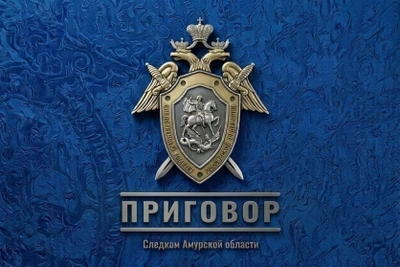 Благовещенец получил 7 лет за покушение на убийство