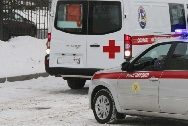 Пациент на Энгельса распылил газ в лицо врачу скорой и попытался сбежать | Источник: ГУ Росгвардии по Петербургу и Ленинградской области