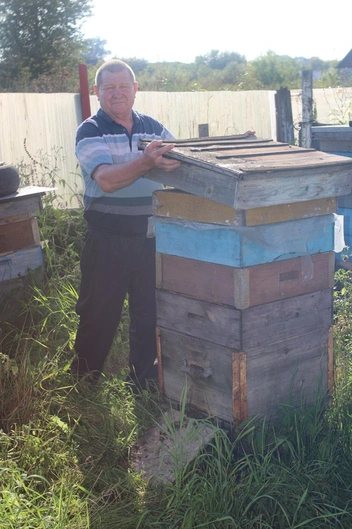 Организовать свою пасеку семье помог благотворительный фонд | Источник: Николай Олегович