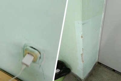 Cockroaches 'Roam in Crowds' at Yaroslavl Hospital, Resident Says