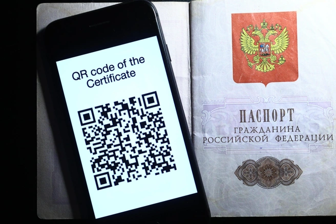Для получения нужен только профиль в приложении Госуслуг  | Источник: Сергей Коньков 