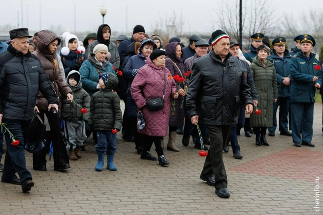 Источник: st.cherinfo.ru