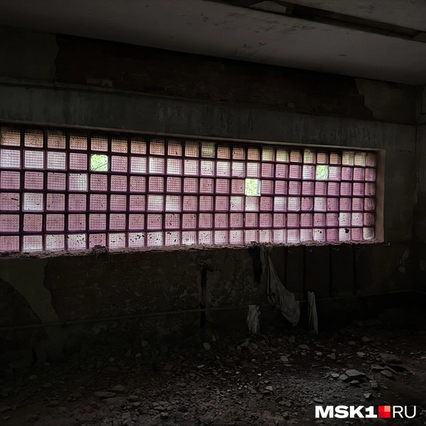 Источник: Алина Мельникова / MSK1.RU