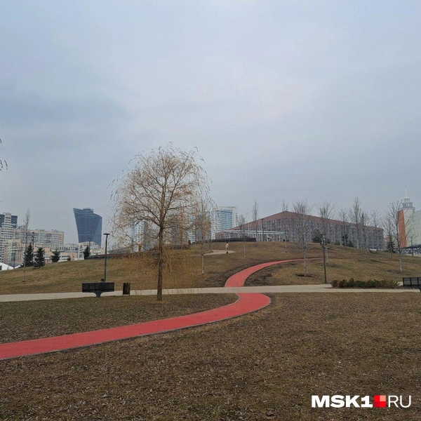Источник: Арина Майорова / MSK1.RU