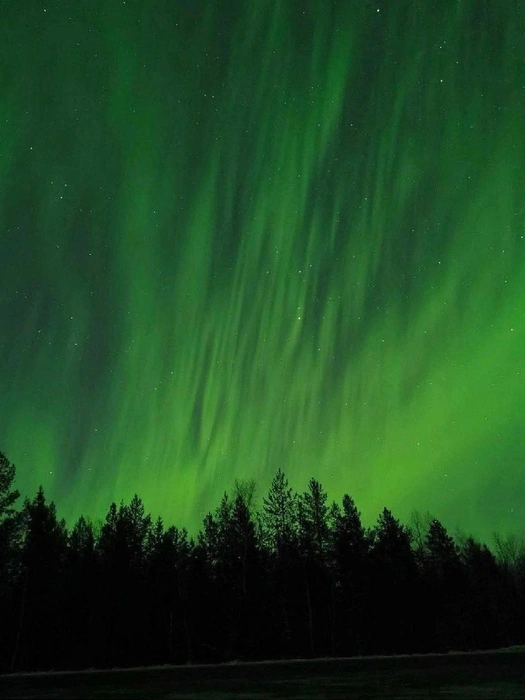 Источник: «МегаТюмень» / T.me