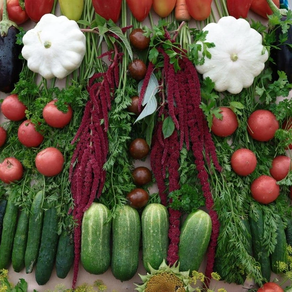 Источник: пресс-служба правительства Челябинской области 