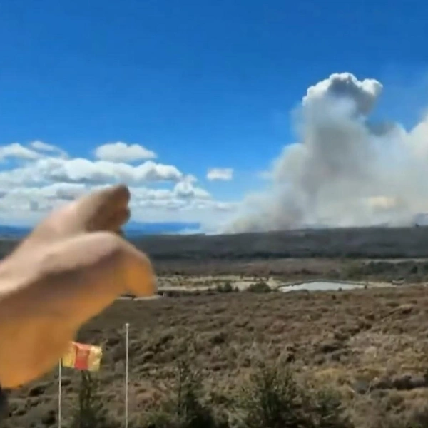 Источник: скриншот @StuffNewZealand